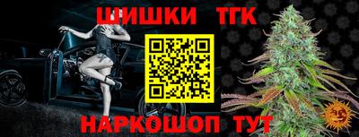 сатива Кандалакша
