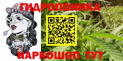 сатива Кандалакша