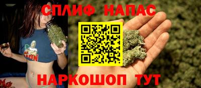 круглые Кингисепп