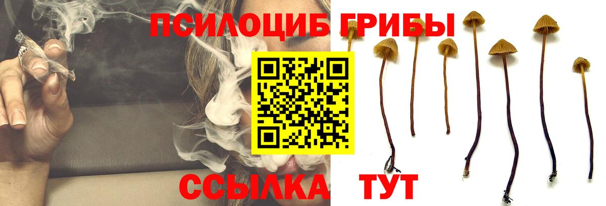 Коряжма  Галлюциногенные грибы Cubensis  купить закладку  Псилоцибиновые грибы прущие грибы  Вход с VPN 